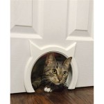 Cat Door For Bedroom Door