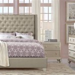 Sofia Vergara Paris Silver Bedroom Set Reviews